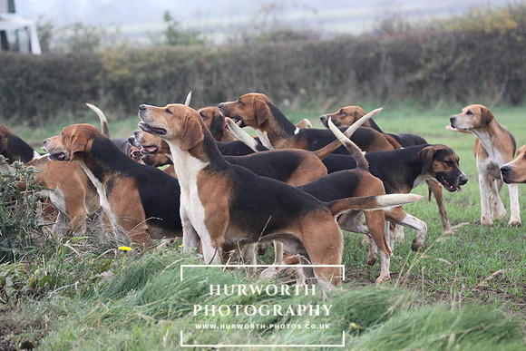 Hurworth Hunt 280