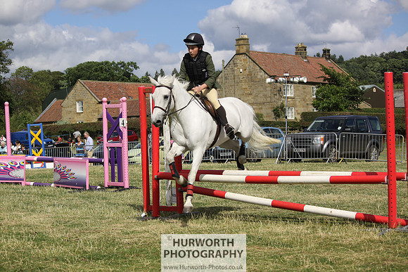 2013 Osmotherley Show 285