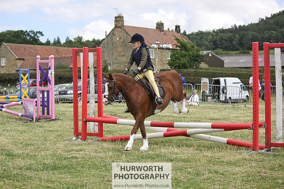 2013 Osmotherley Show 051