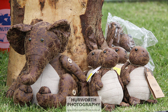 North Yorkshire County Show 005