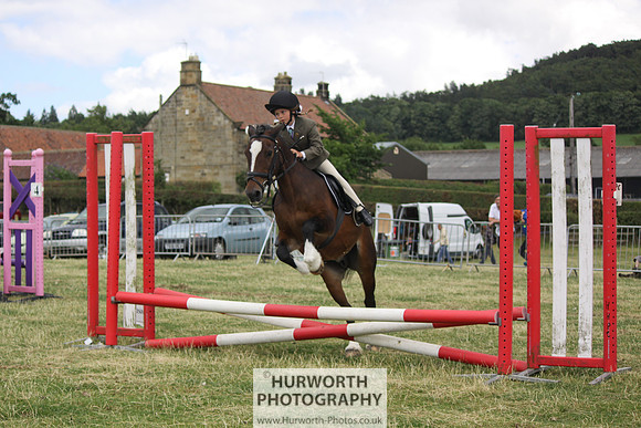 2013 Osmotherley Show 043