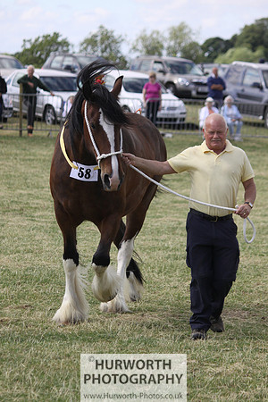 2013 Osmotherley Show 174