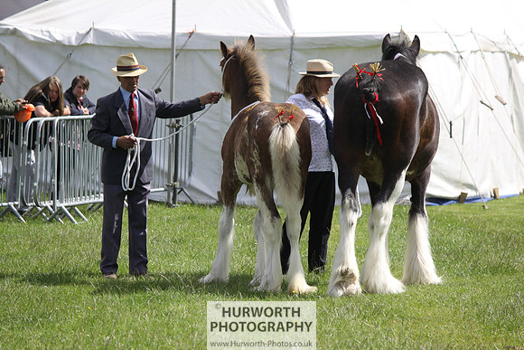 North Yorkshire County Show 056