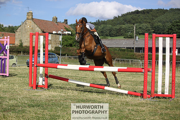 2013 Osmotherley Show 389