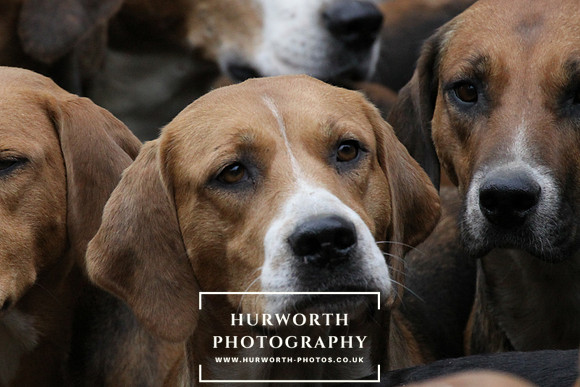 Hurworth Hunt 038