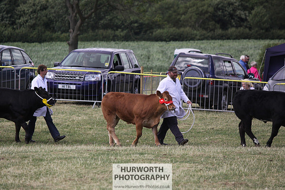 2013 Osmotherley Show 240