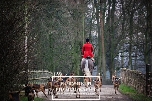 Hurworth Hunt 376