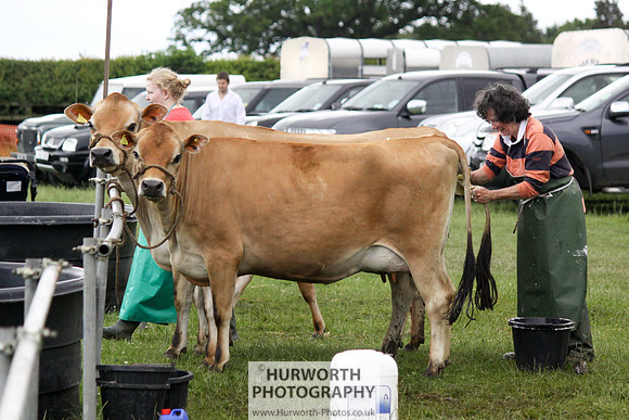 North Yorkshire County Show 006