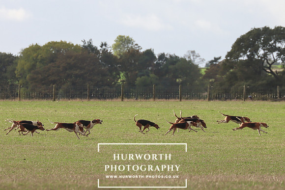 Hurowth Hunt 28