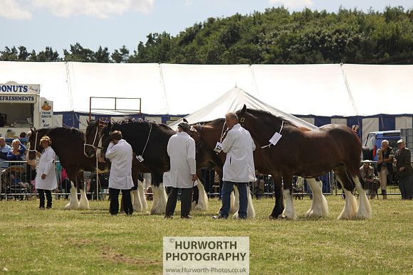 2013 Osmotherley Show 129