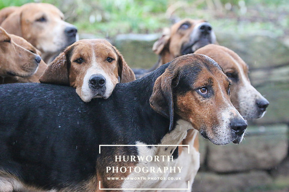 Hurworth Hunt 45