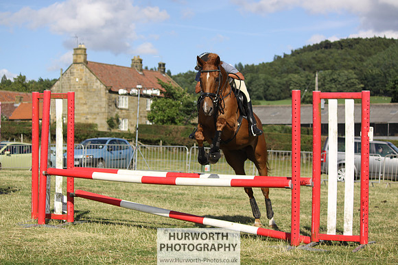2013 Osmotherley Show 381