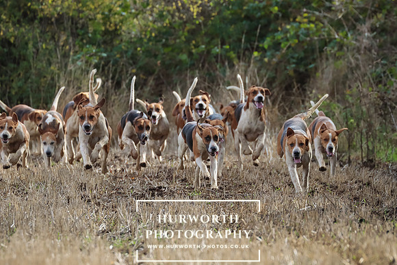 Hurworth Hunt 4