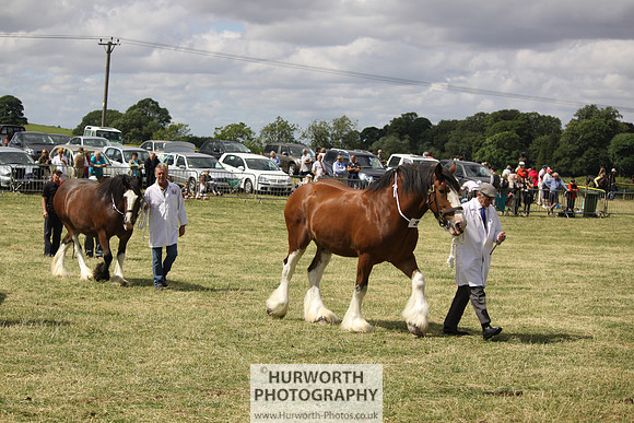 2013 Osmotherley Show 098
