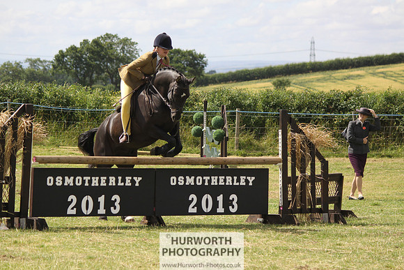 2013 Osmotherley Show 124