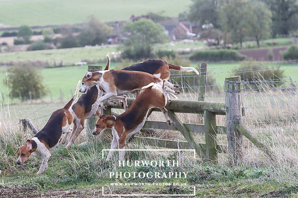 Hurowth Hunt 61