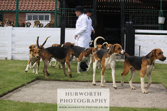 Hurworth Hunt Puppy Show 134