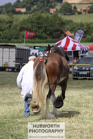 2013 Osmotherley Show 093