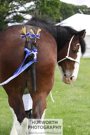 North Yorkshire County Show 097