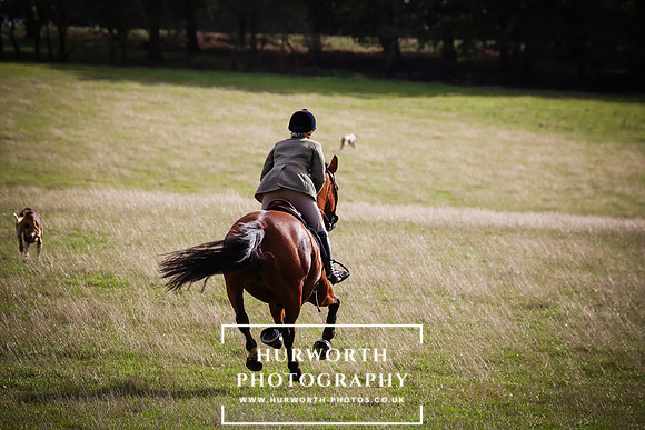 Hurworth Hunt 42