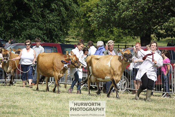 2013 Osmotherley Show 183