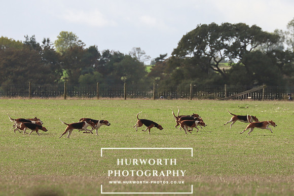Hurowth Hunt 29