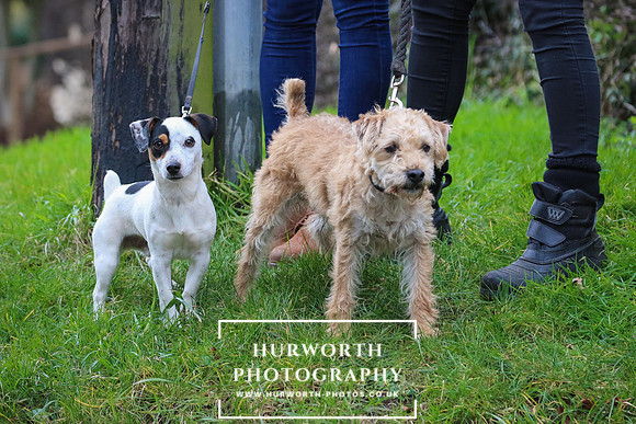 Hurworth Hunt 048