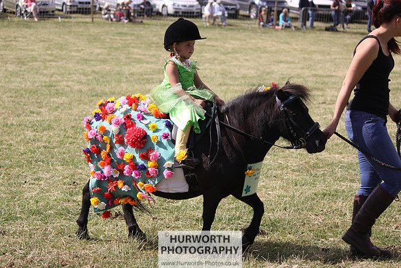 2013 Osmotherley Show 264