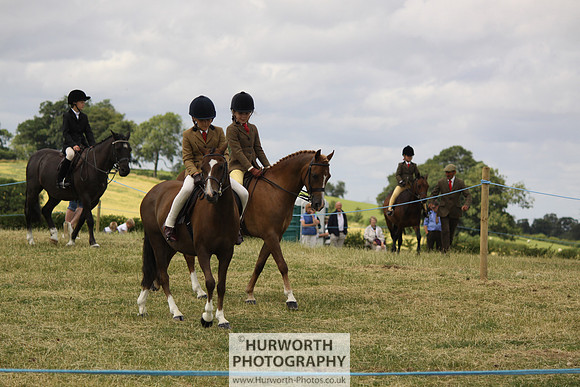 2013 Osmotherley Show 059