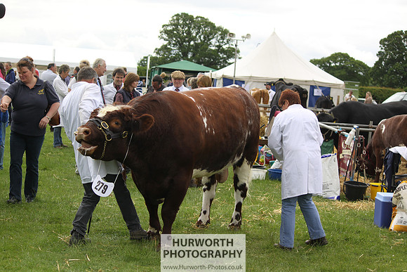 North Yorkshire County Show 132
