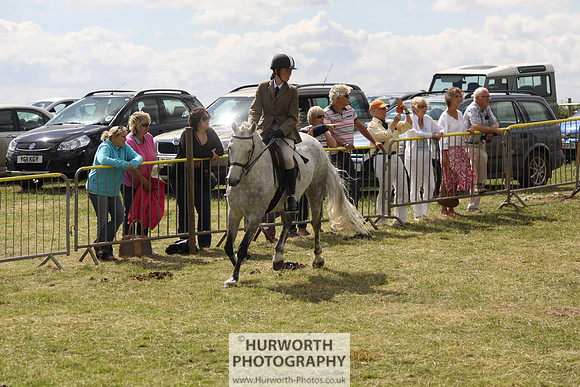 2013 Osmotherley Show 132