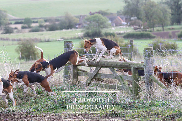 Hurowth Hunt 56