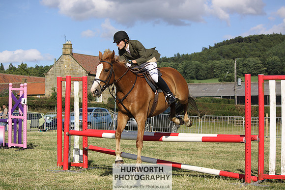 2013 Osmotherley Show 371