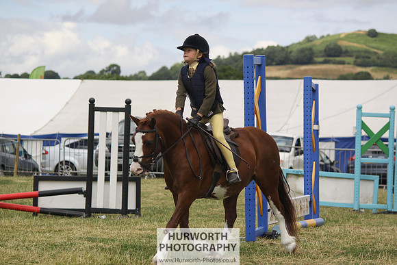 2013 Osmotherley Show 052