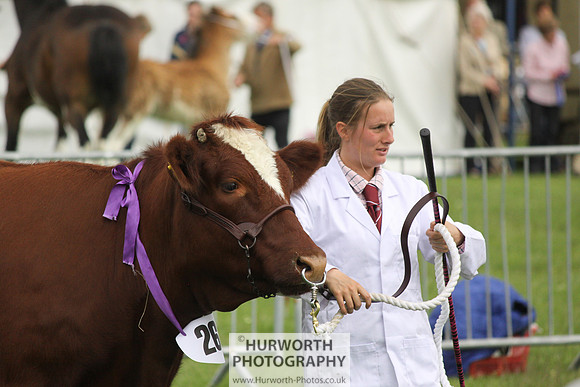 North Yorkshire County Show 135