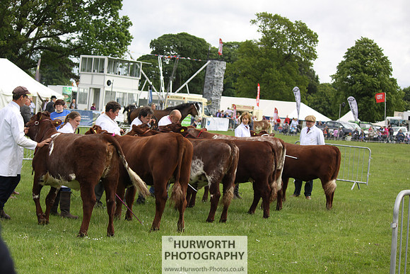 North Yorkshire County Show 099