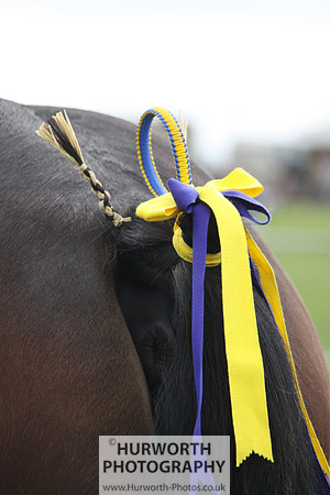 North Yorkshire County Show 126