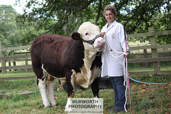 2013 Osmotherley Show 112