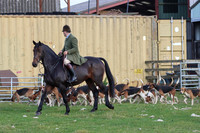 Hurowth Hunt 32