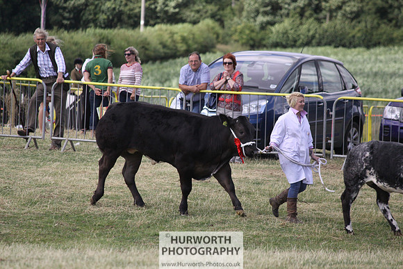 2013 Osmotherley Show 243