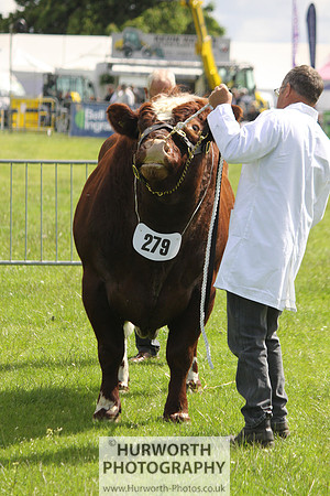 North Yorkshire County Show 053