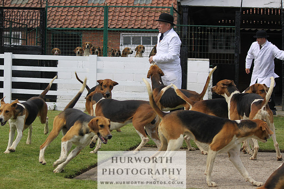 Hurworth Hunt Puppy Show 135