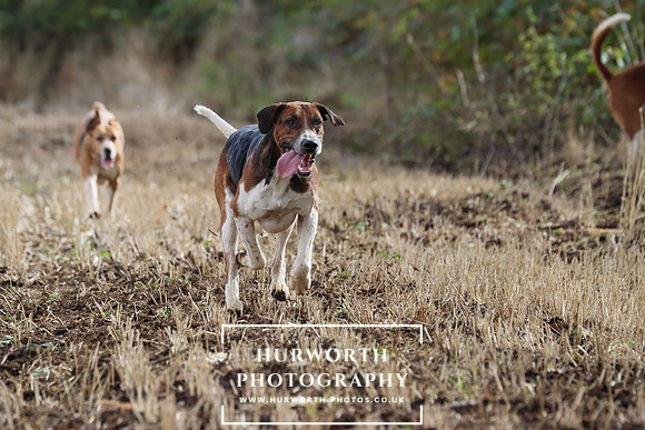 Hurworth Hunt 14