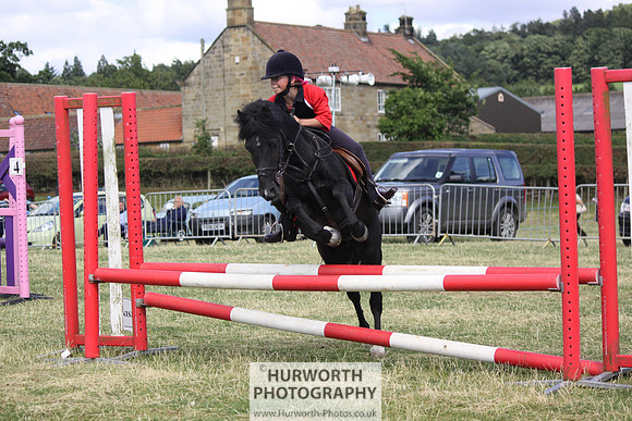 2013 Osmotherley Show 280