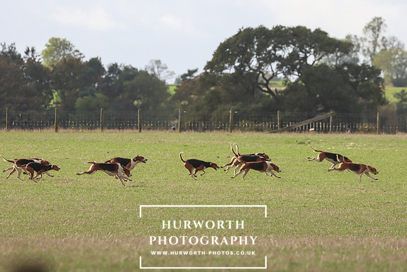 Hurowth Hunt 30