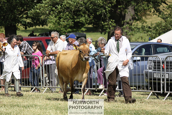 2013 Osmotherley Show 189
