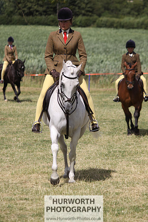 2013 Osmotherley Show 136