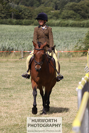 2013 Osmotherley Show 138