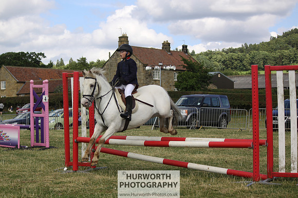 2013 Osmotherley Show 276