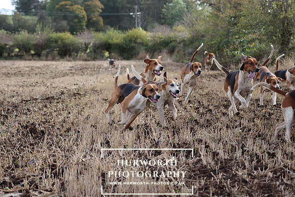 Hurworth Hunt 13